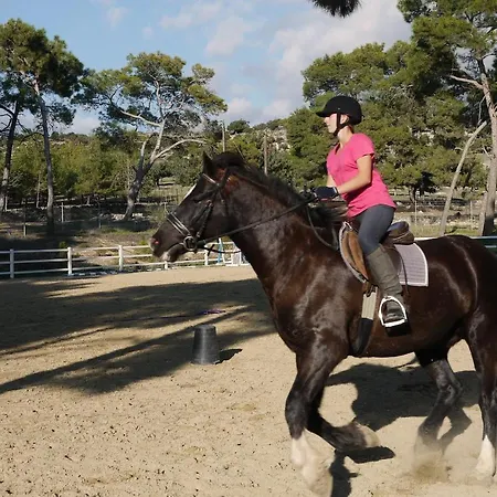 Villa Beautiful Dionysus With Private Pool In Peaceful Location - Aphrodite Hills Kouklia